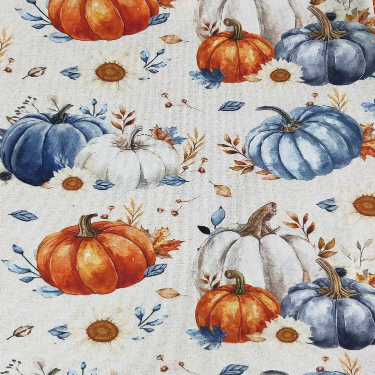 Denim Pumpkin Set